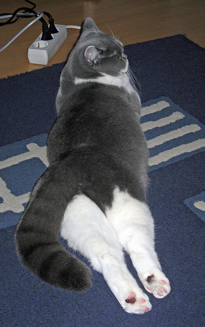 开云体育入口-掌控者与终结者，拉梅洛的节奏魔法与灰熊的绝杀艺术