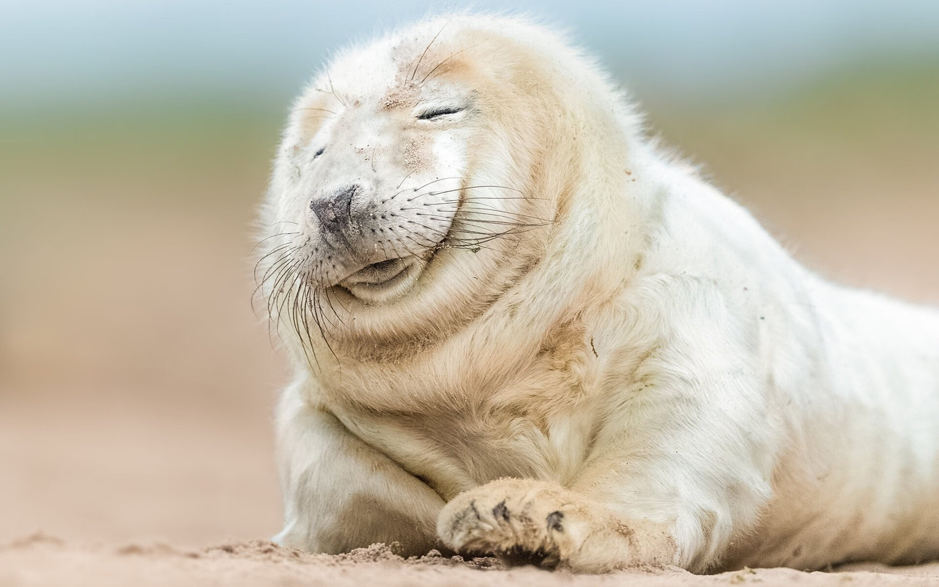 北欧神话续写，瑞典压哨绝杀巴西，东决关键战铸就冰与火之歌