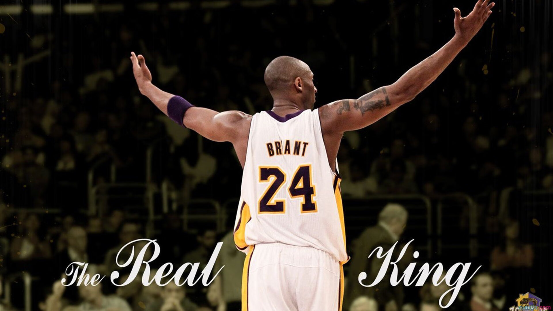 开云官网-南美狂飙与北欧坚韧的对决，弗拉霍维奇个人秀助委内瑞拉力克挪威